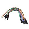 پروگرامر e-link32 HOLTEK Programmer