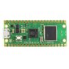 رزبری پای پیکو Raspberry Pi Pico W یی